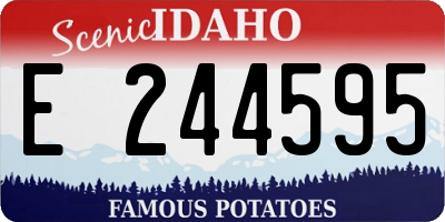 ID license plate E244595