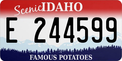 ID license plate E244599