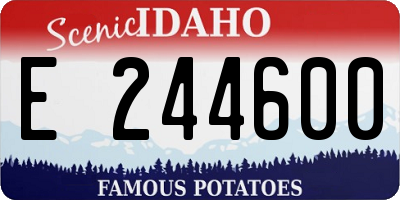 ID license plate E244600