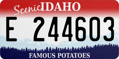 ID license plate E244603