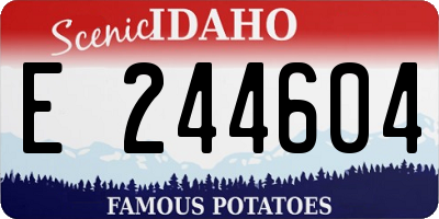 ID license plate E244604