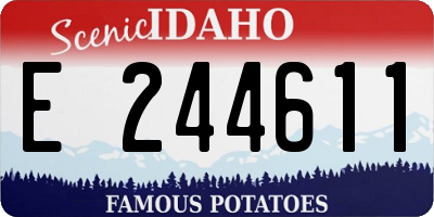 ID license plate E244611