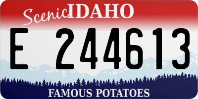 ID license plate E244613