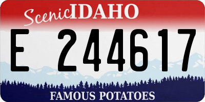 ID license plate E244617