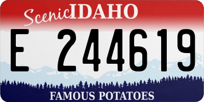 ID license plate E244619