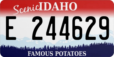 ID license plate E244629