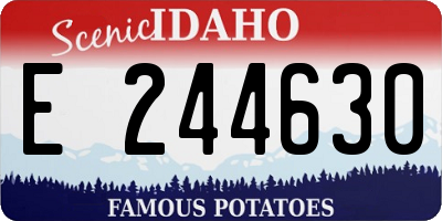 ID license plate E244630