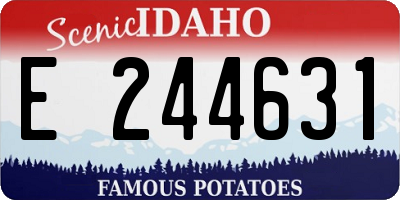 ID license plate E244631