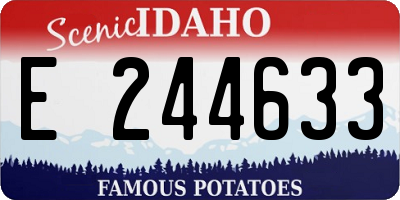 ID license plate E244633