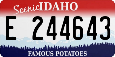 ID license plate E244643