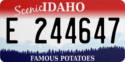 ID license plate E244647