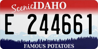 ID license plate E244661