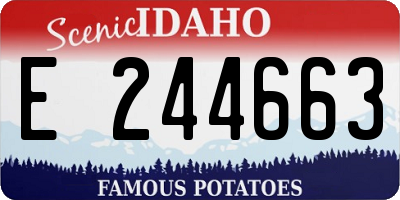 ID license plate E244663