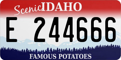 ID license plate E244666