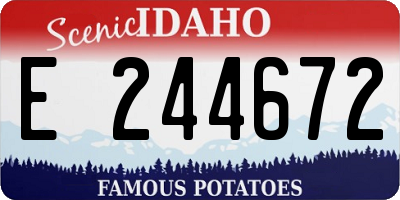 ID license plate E244672