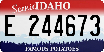 ID license plate E244673