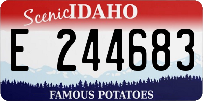 ID license plate E244683