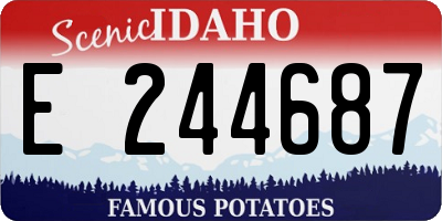 ID license plate E244687