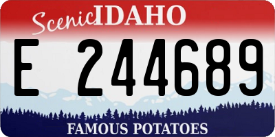 ID license plate E244689