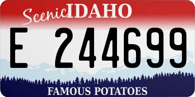 ID license plate E244699
