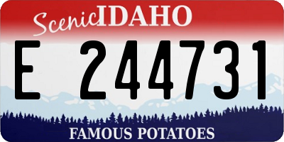 ID license plate E244731