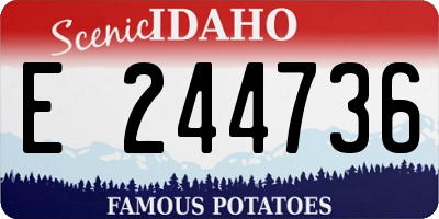 ID license plate E244736