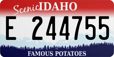 ID license plate E244755