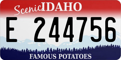 ID license plate E244756