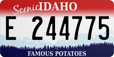 ID license plate E244775