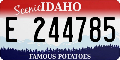 ID license plate E244785
