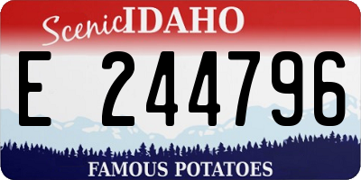ID license plate E244796