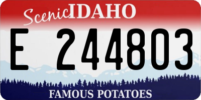ID license plate E244803