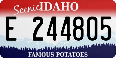 ID license plate E244805