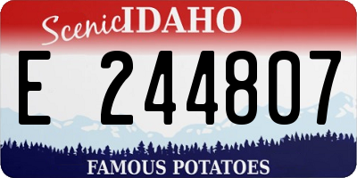 ID license plate E244807