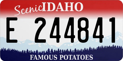 ID license plate E244841
