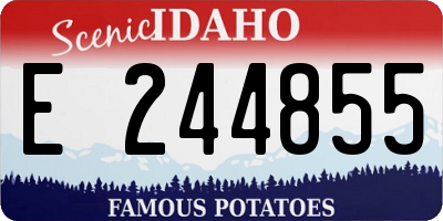 ID license plate E244855