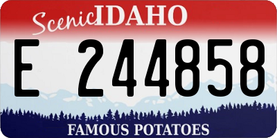ID license plate E244858
