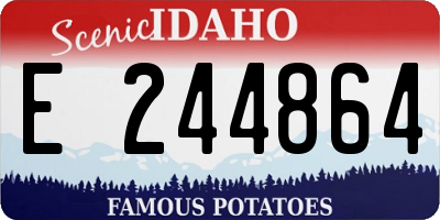 ID license plate E244864