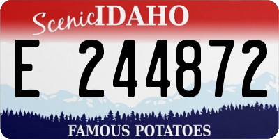 ID license plate E244872