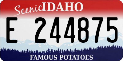 ID license plate E244875