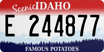 ID license plate E244877
