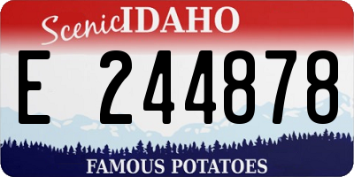 ID license plate E244878
