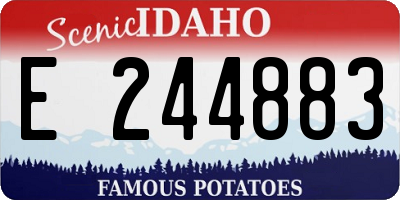 ID license plate E244883