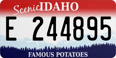 ID license plate E244895