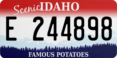 ID license plate E244898