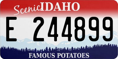 ID license plate E244899