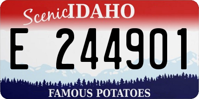 ID license plate E244901