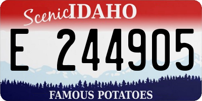 ID license plate E244905