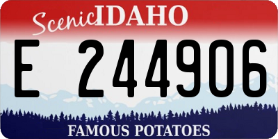 ID license plate E244906