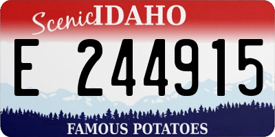 ID license plate E244915